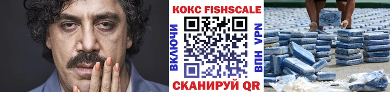 mega зеркало  Щигры  Cocaine Эквадор  как найти закладки 