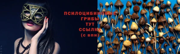 герыч Лагань